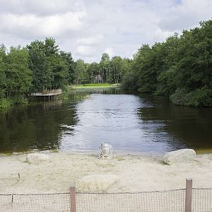 California sea lion exhibit