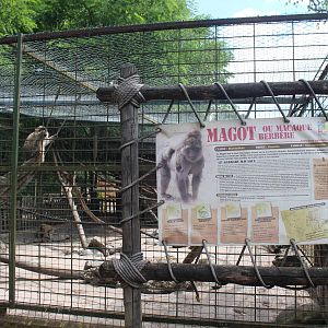 Barbary macaque enclosure, August 2016