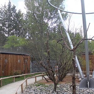 Lorikeet aviary, August 2016