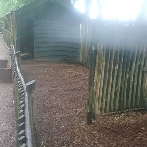 Chicken enclosure