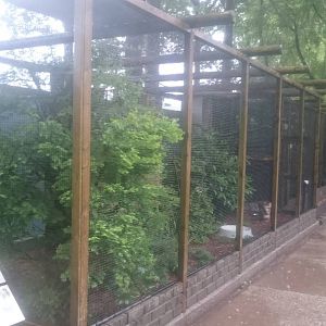 Roller and Bittern aviary
