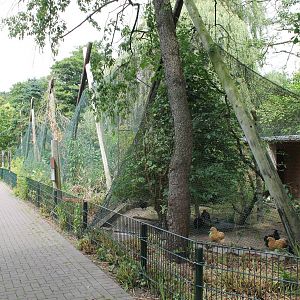 Bird of prey, owl and chicken aviaries