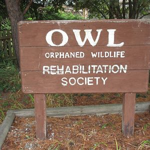 O.W.L. - Orphaned Wildlife Rehabilitation Society - Entrance Sign