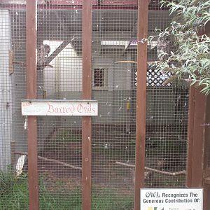 O.W.L. - Orphaned Wildlife Rehabilitation Society - Barred Owl Exhibit