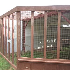 O.W.L. - Orphaned Wildlife Rehabilitation Society - Prairie Falcon Exhibit