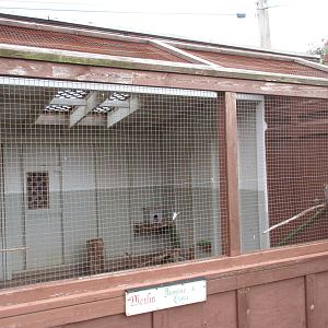 O.W.L. - Orphaned Wildlife Rehabilitation Society - Merlin Exhibit