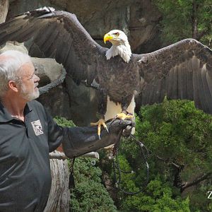 Sep. 2016 - Wings of Wonder - Sam