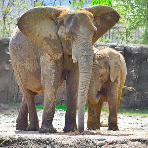 May. 2016 - Plains - Ivory and Nyah