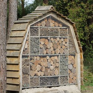 Large Insect hotel