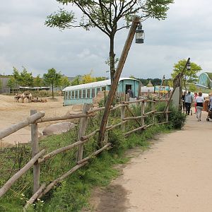 SERENGA - Way along the Asian plain