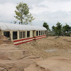 SERENGA - Stranded train / way through the Asian plain