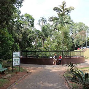 Outdoor view - Instituto Butantan, 2016