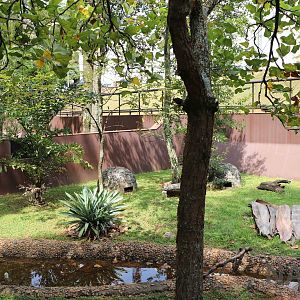 Jaracussu enclosure - Instituto Butantan, 2016