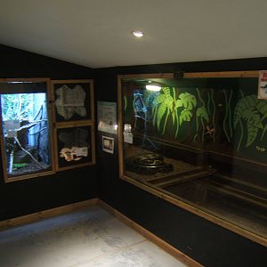 View of reptile rooms