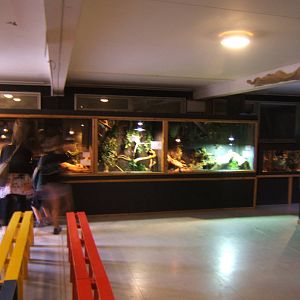 View of reptile rooms