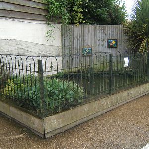 Fish pond by the entrance