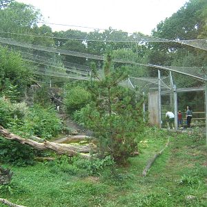 View of part of the Snow Leopard enclosure