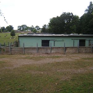 View of the old Rhino House