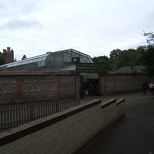 View of the Tropical House