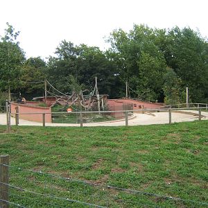 View of Coati enclosure