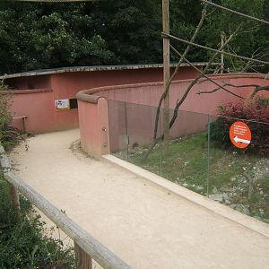 View of Coati enclosure