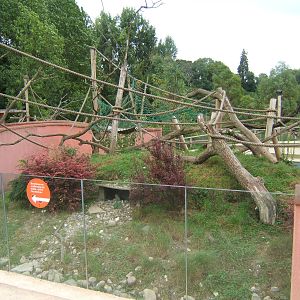 View of Coati enclosure