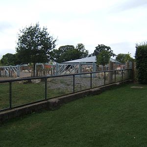 View of new Rhino holding paddock