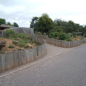 View of Meerkat enclosure