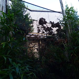 Prevost's Squirrel Enclosure