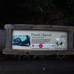 Prevost'd Squirrel Signage