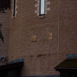 Future Doors for Sloths to get to Outdoor enclosure