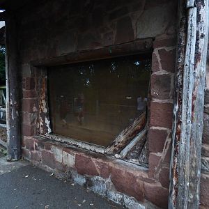 Boarded up Brazillian Tapir Indoor Enclosure