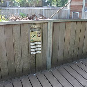 Enclosure and sign Zebra mongoose