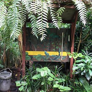 Plant and tree info sign