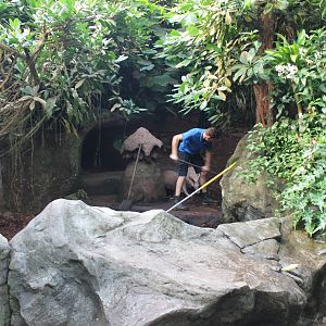 Aardvark enclosure - and... find the Chacalacas