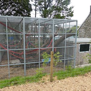 New rhesus monkey enclosure .