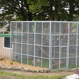 New spider monkey enclosure .