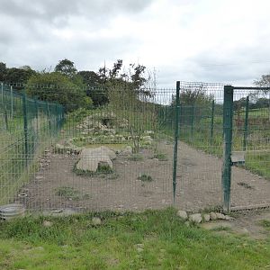 Revamped Wolf Enclosure .