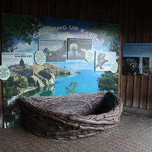 Sep. 2016 - Eagle Eyrie - New Eagle Interactive Nest