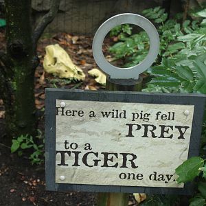 Sep. 2016 - Cat Canyon