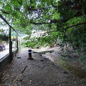 Cotebrook Shire Horse Centre