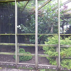 Cotebrook Shire Horse Centre