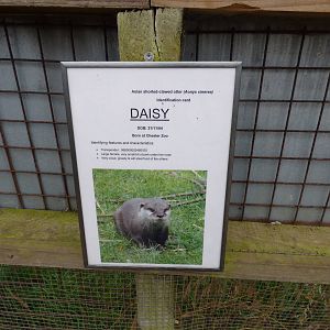 Cotebrook Shire Horse Centre