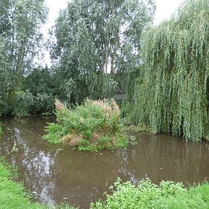 Cotebrook Shire Horse Centre