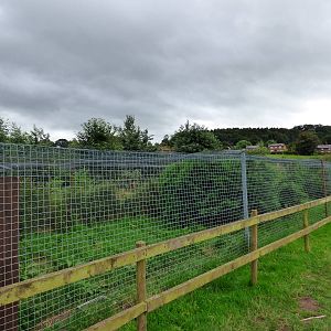 Cotebrook Shire Horse Centre