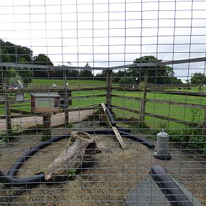 Cotebrook Shire Horse Centre