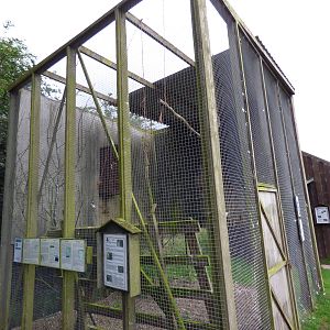 Cotebrook Shire Horse Centre