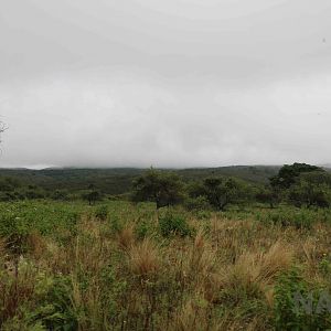 Landscape across the drive-through area - Tatu Carreta, April 2016.