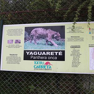 Jaguar sign - Tatu Carreta, April 2016.