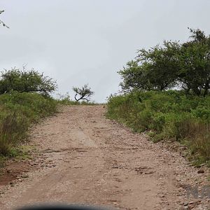 Drive-through area track - Tatu Carreta, April 2016.
